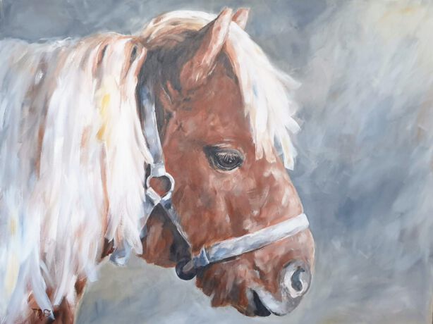 Prijs op aanvraag Schilderij Shetland Pony